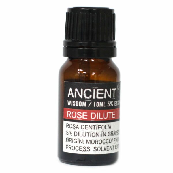 Diffuser Necklace and Essential Oils Set - Image 4