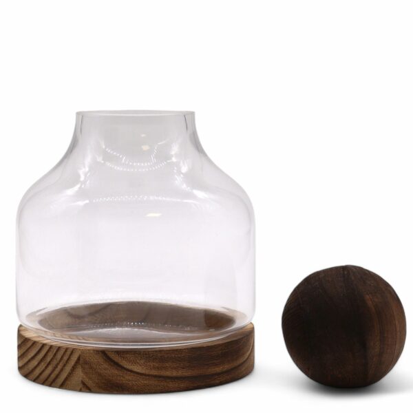Medium Ball Top Terrarium on Dark Tung Wood - Image 4