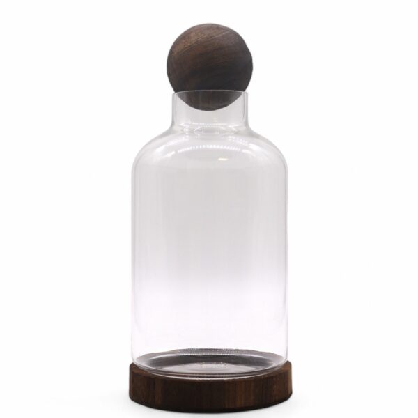 Large Ball Top Terrarium on Dark Tung Wood - Image 3