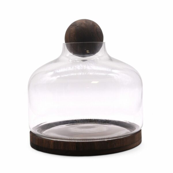 Ex-Large Ball Top Terrarium on Dark Tung Wood - Image 2