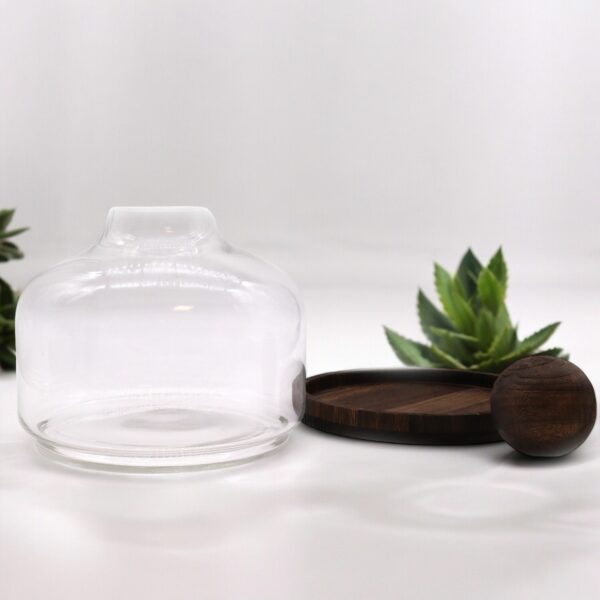 Ex-Large Ball Top Terrarium on Dark Tung Wood - Image 4