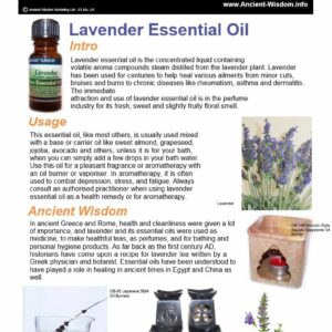 Lavender Essential Oil Info