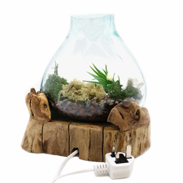 Molten Glass Large Fish Tank 3.7 litre (with light cavity)- 30cm - Image 7