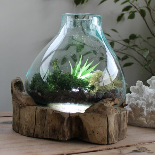 Molten Glass Large Fish Tank 3.7 litre (with light cavity)- 30cm - Image 9