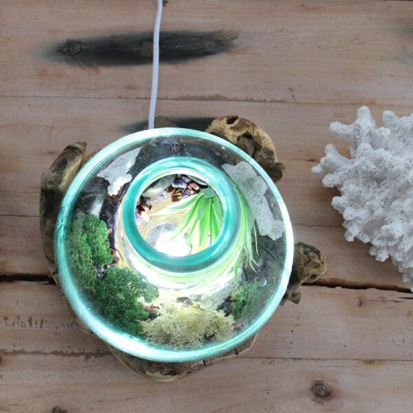 Molten Glass Large Fish Tank 3.7 litre (with light cavity)- 30cm - Image 11