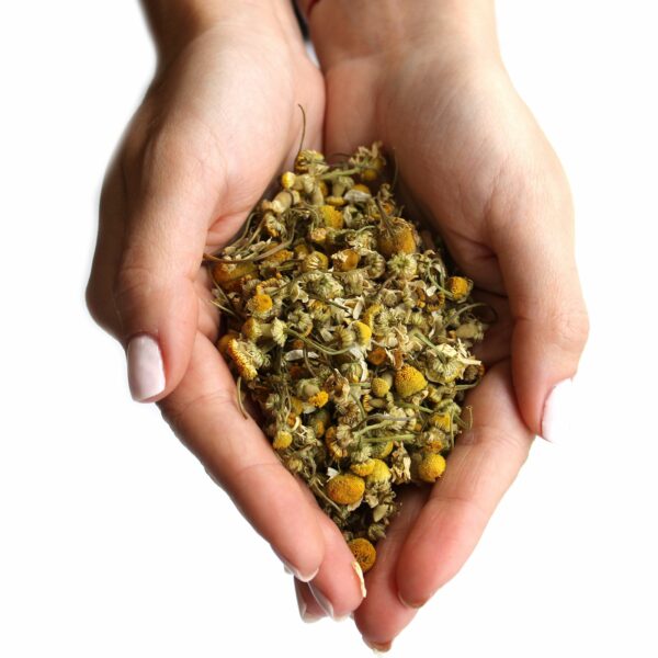 Chamomile Heads (1kg) - Image 2