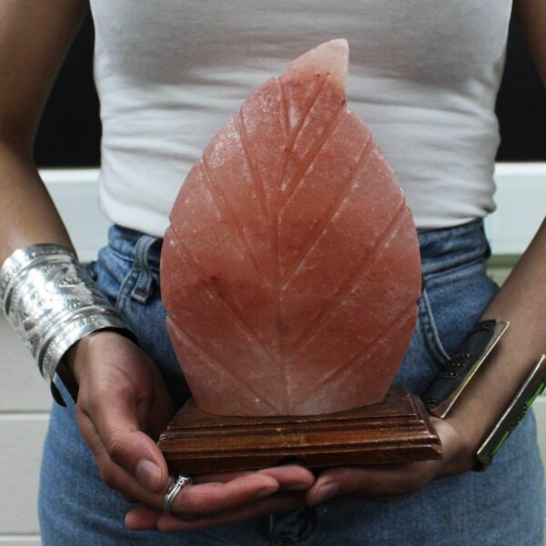 Shape Salt Lamp - Fern - Image 4