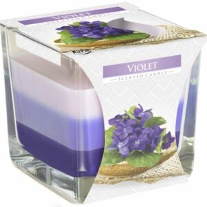 Rainbow Jar Candle - Violet