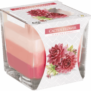 Rainbow Jar Candle - Cactus flower