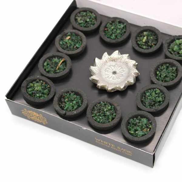 Box of 12 Resin Cups - White Sage - Image 4