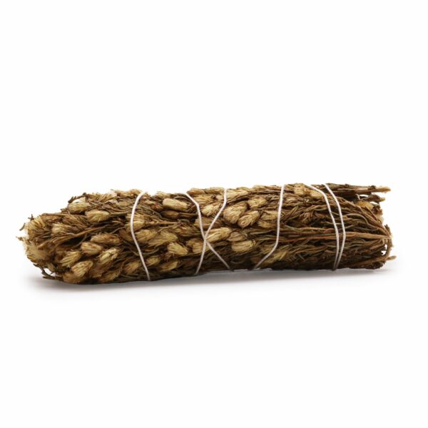 Smudge Stick - Desert Sage 10 cm - Image 2