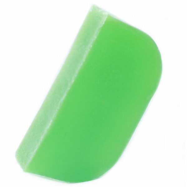 Thyme & Mint - Argan Solid Shampoo Loaf - Image 2