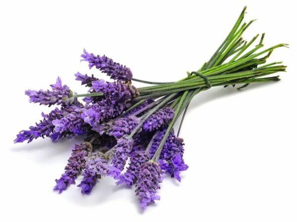 Lavender & Rosemary - Argan Solid Shampoo Loaf - Image 3