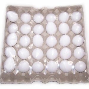 Bath Eggs in a Tray - Coconut