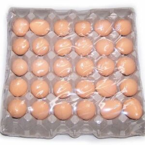 Bath Eggs in a Tray- Tangerine & Grapefruit