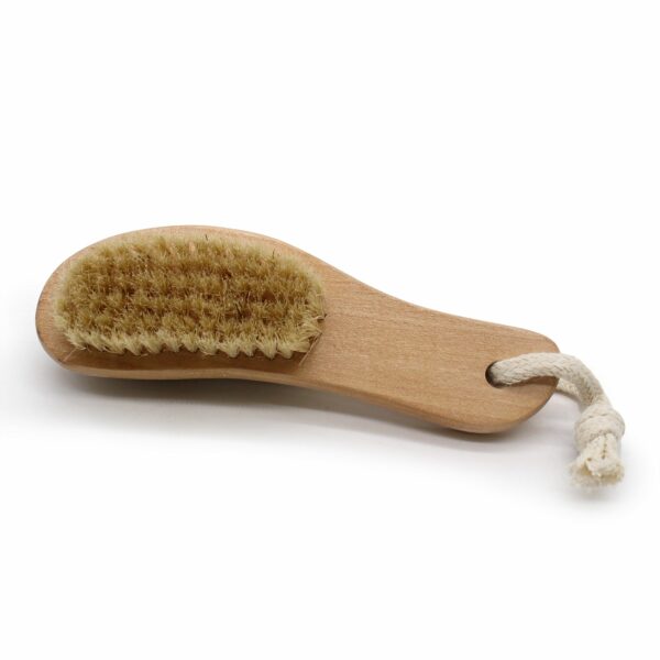 Pumice Backed Brush - Image 3