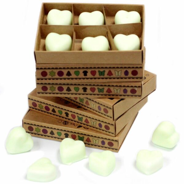 Box of 6 Wax Melts - Apple Spice - Image 2