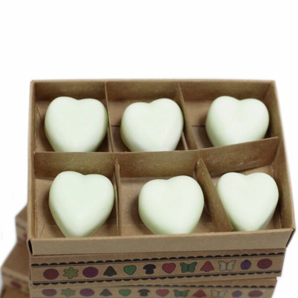 Box of 6 Wax Melts - Apple Spice - Image 3