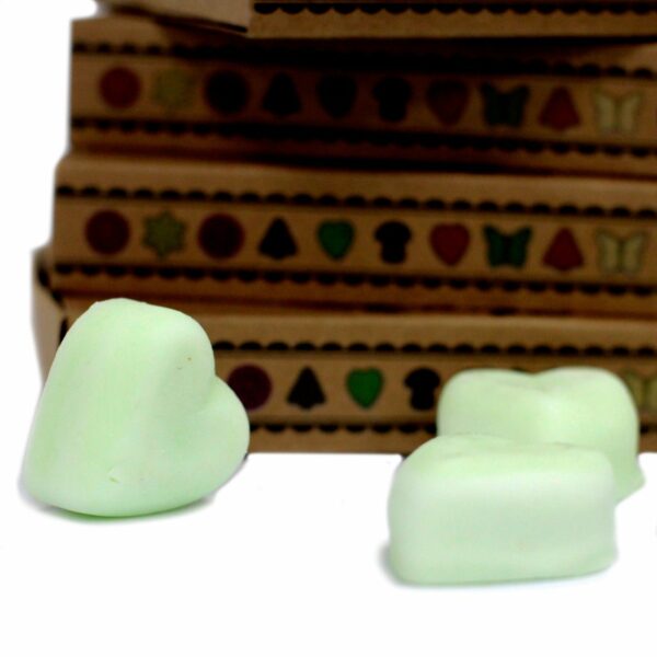 Box of 6 Wax Melts - Apple Spice - Image 4