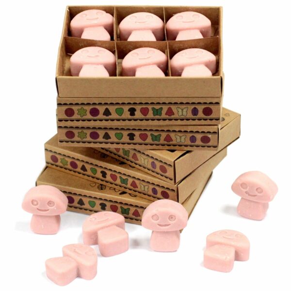 Box of 6  Wax Melts - Coffee Trader - Image 2