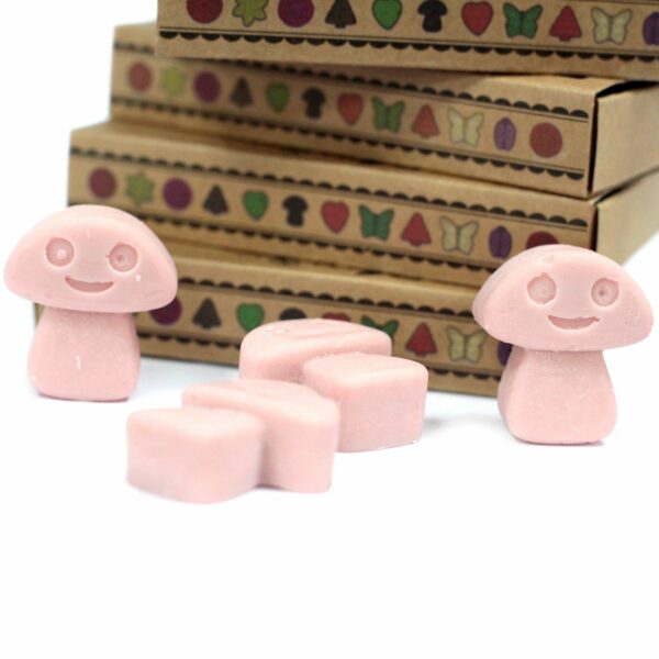 Box of 6  Wax Melts - Coffee Trader - Image 4