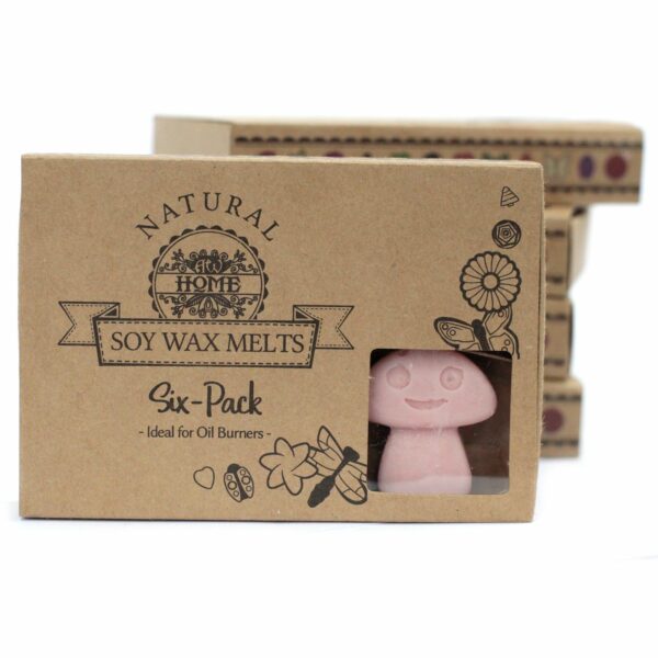 Box of 6  Wax Melts - Coffee Trader - Image 5