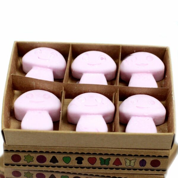 Box of 6  Wax Melts - Ylang Ylang - Image 2