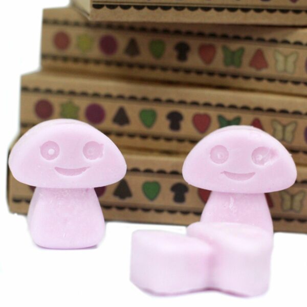 Box of 6  Wax Melts - Ylang Ylang - Image 3