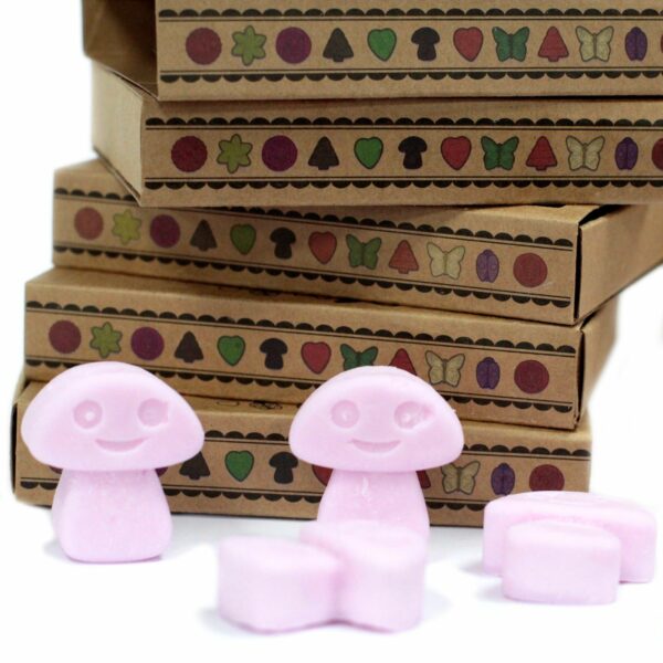 Box of 6  Wax Melts - Ylang Ylang - Image 4