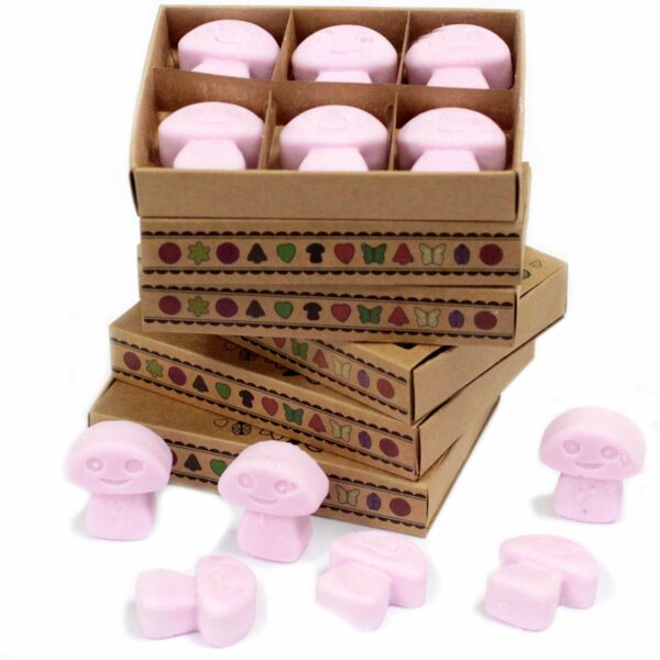 Box of 6  Wax Melts - Ylang Ylang - Image 5
