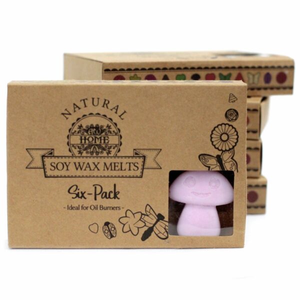 Box of 6  Wax Melts - Ylang Ylang - Image 6