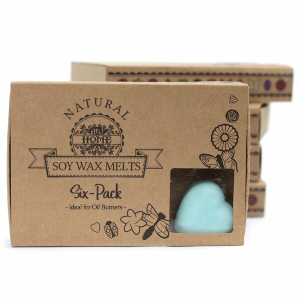 Box of 6  Wax Melts - Nagchampa - Image 6