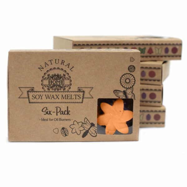 Box of 6  Wax Melts - Mango Fruits - Image 6