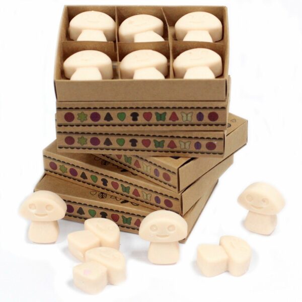 Box of 6 Wax Melts - Vanilla Nutmeg - Image 2