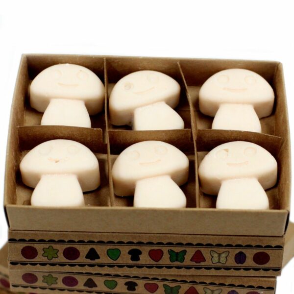 Box of 6 Wax Melts - Vanilla Nutmeg - Image 3