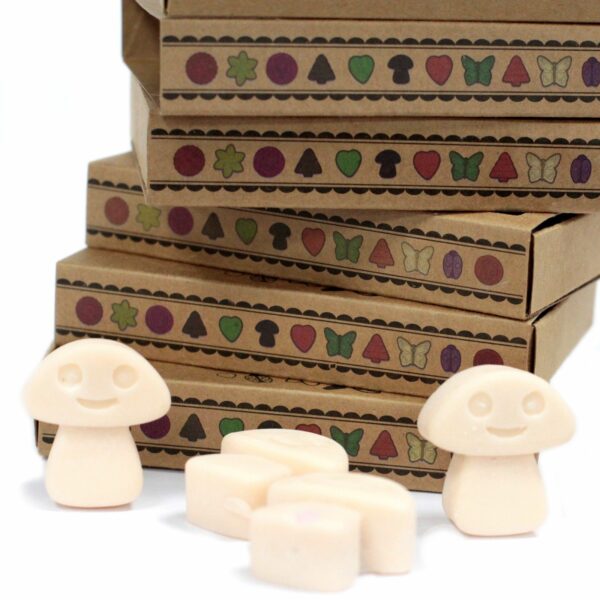 Box of 6 Wax Melts - Vanilla Nutmeg - Image 4