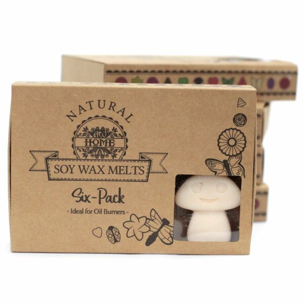 Box of 6 Wax Melts - Vanilla Nutmeg - Image 5