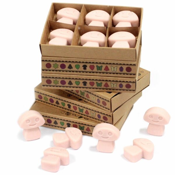 Box of 6  Wax Melts - Old Ginger - Image 2