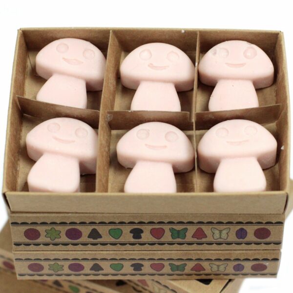 Box of 6  Wax Melts - Old Ginger - Image 3