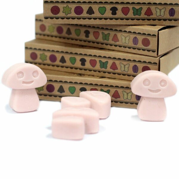Box of 6  Wax Melts - Old Ginger - Image 4