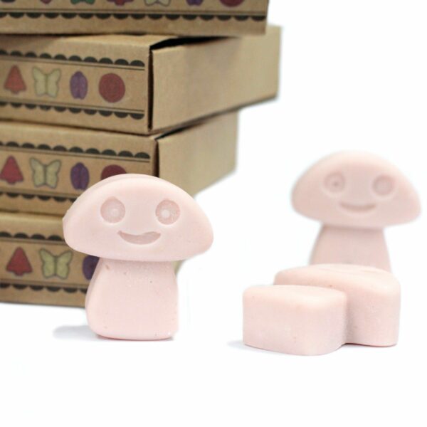Box of 6  Wax Melts - Old Ginger - Image 5