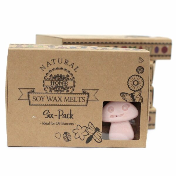 Box of 6  Wax Melts - Old Ginger - Image 6