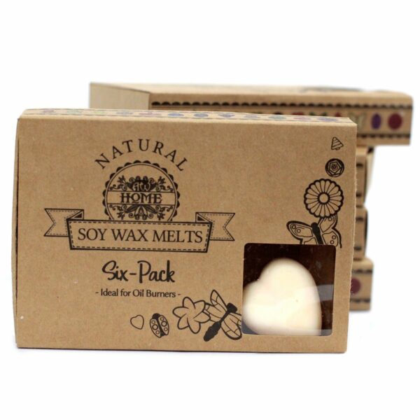 Box of 6  Wax Melts - Cinnamon & Orange - Image 6