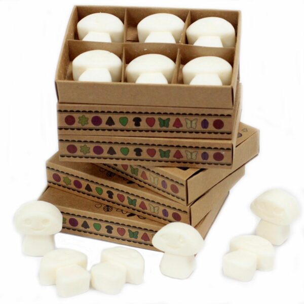 Box of 6 Wax Melts - White Musk - Image 4