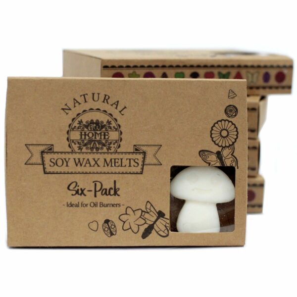 Box of 6 Wax Melts - White Musk - Image 5