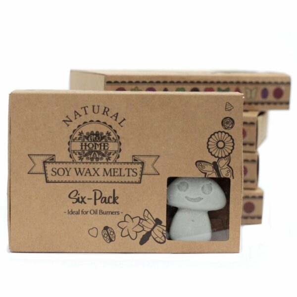 Box of 6  Wax Melts - Dark Patchouli - Image 5