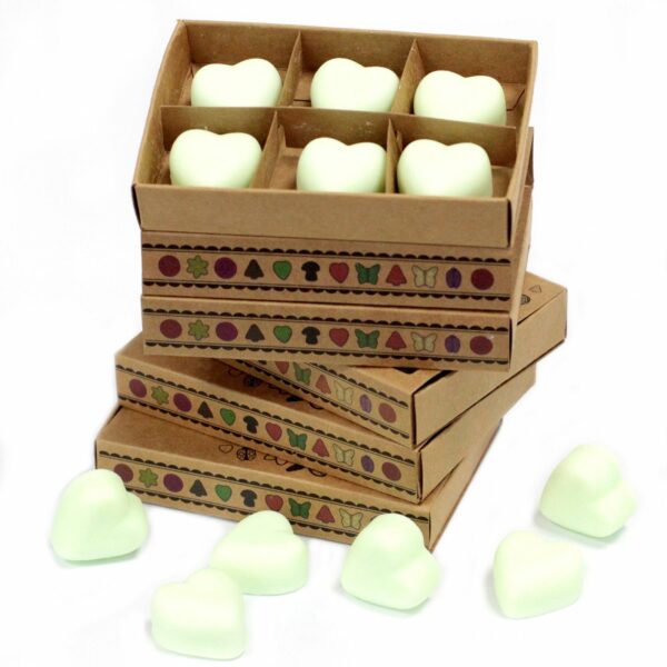 Box of 6  Wax Melts - Mint & Menthol - Image 3