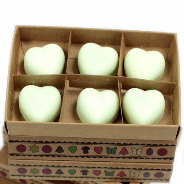 Box of 6  Wax Melts - Mint & Menthol - Image 4