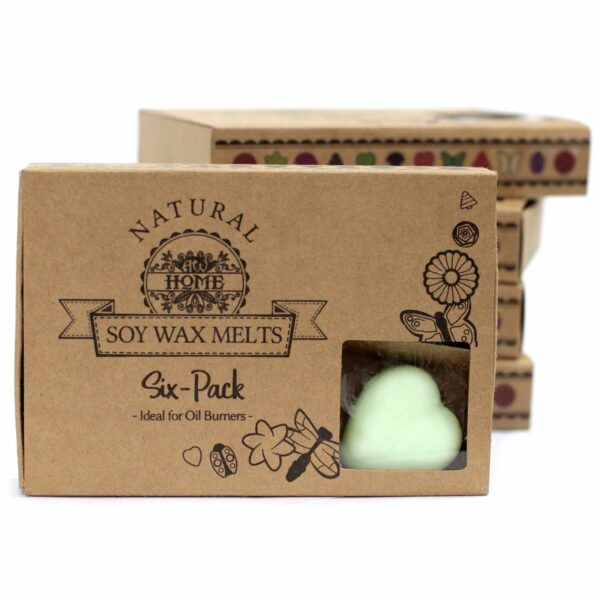 Box of 6  Wax Melts - Mint & Menthol - Image 7