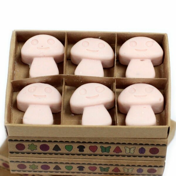Box of 6  Wax Melts - Dark Sandalwood - Image 3